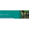 Lumineo lampada solare fungo h33,5cm