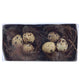 Decoris nido in salice set da 2 pezzi 8 cm