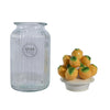 Decoris voorraadpot citroen h27cm glas aardewerk