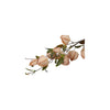 Fiore artificiale campo country physalis seta marrone h94cm