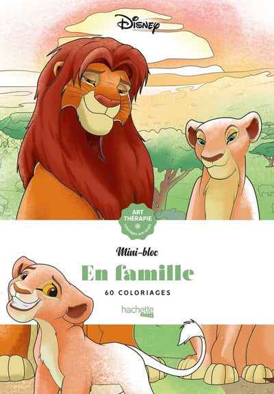 Hachette heroes mini bloc - disney en famille - coloring block for adults