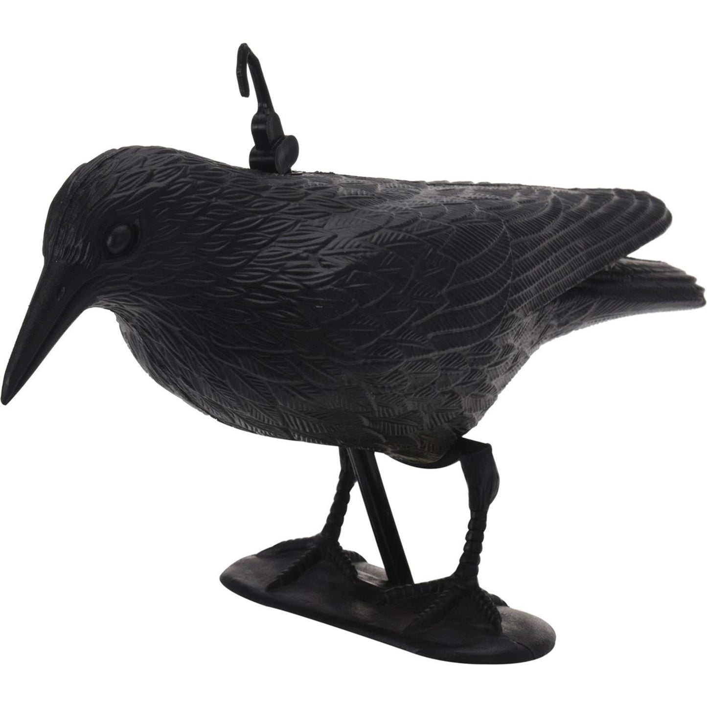 Pro Garden Raaf Bird Scrurcin Black