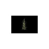 Country field countryfield kerstboom led cedrus groen kunststof 11x10x61cm 15led 3xaaa