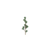 Campo country campo country ramo artificiale pinus sphaera verde plastica 14x10x64cm
