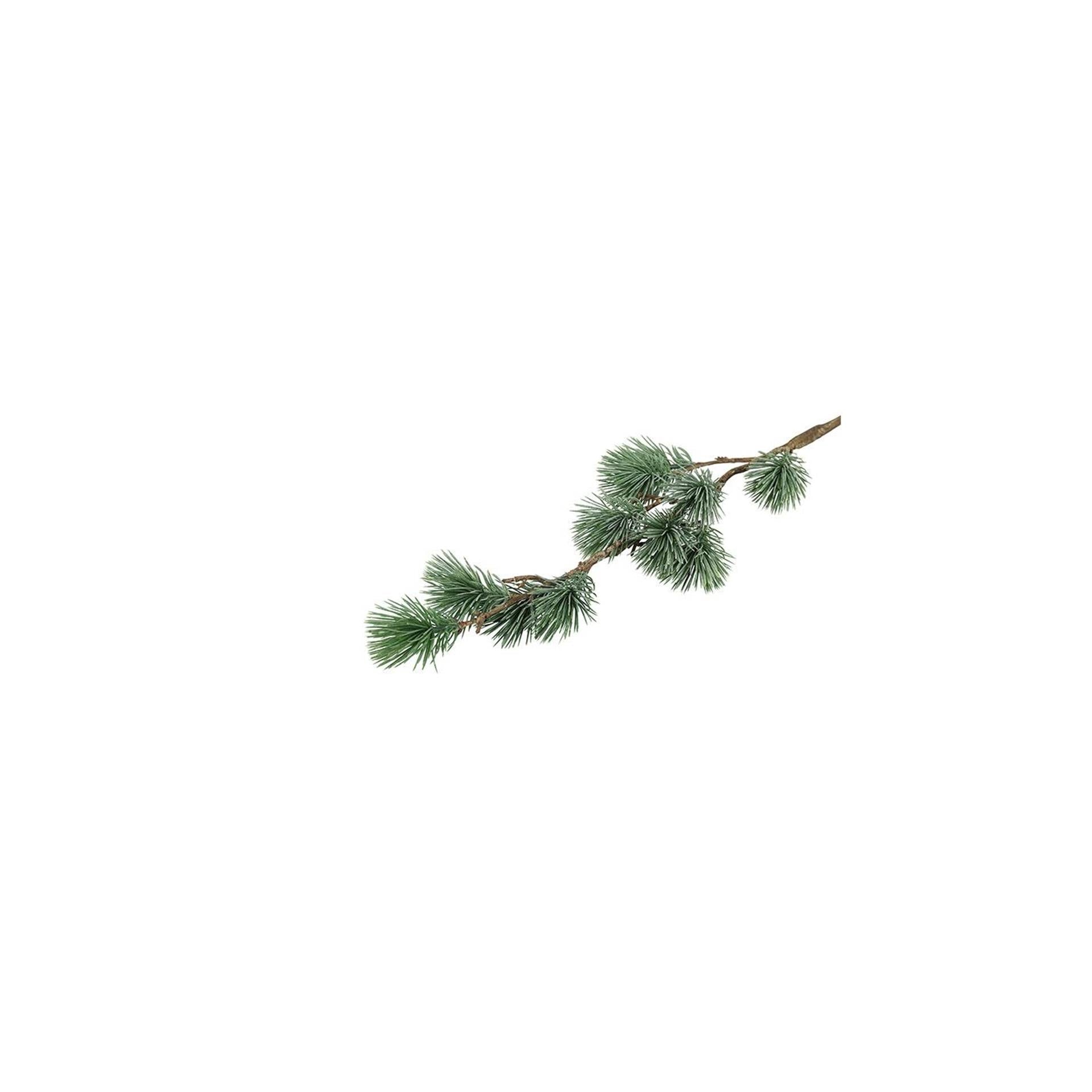 Campo country campo country ramo artificiale pinus sphaera verde plastica 14x10x64cm