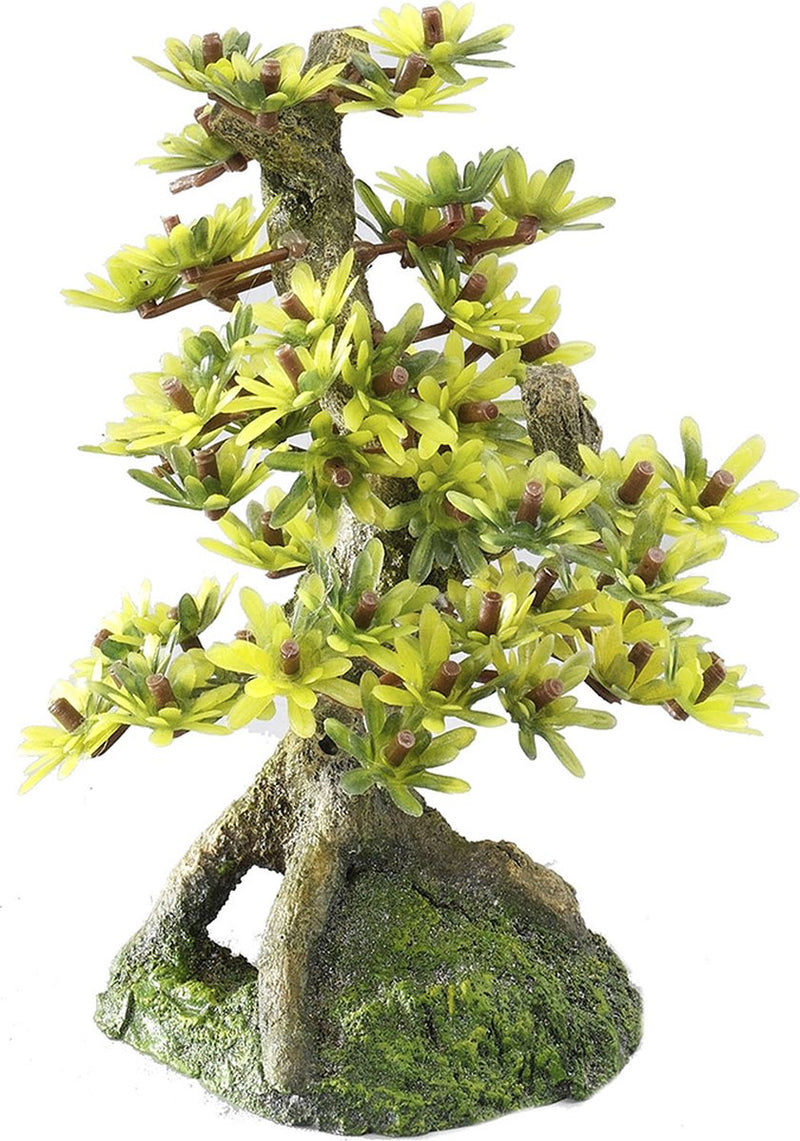 Aqua della Europet Bernina decoro bonsai 2 - acquario - ornamento - 15 cm