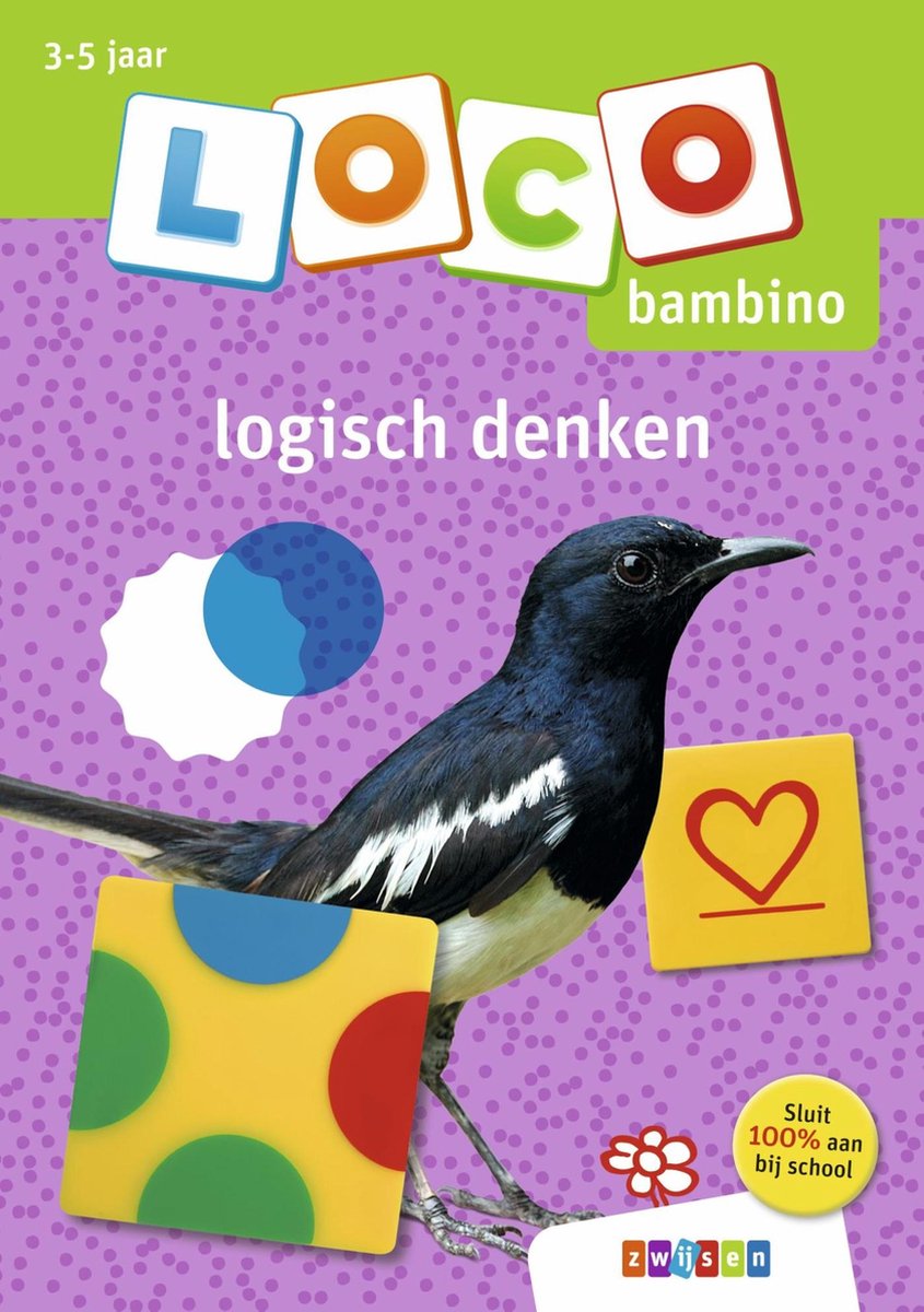 Loco bambino bambino loco logisch denken
