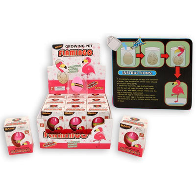 Huevo de crecimiento de flamenco en caja.