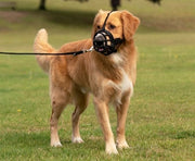 Baskerville Ultra muzzle muilkorf - afbeelding 4