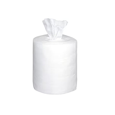 Salviette Ecolab Incidin Premium (6x 99 pezzi)