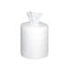 Salviette Ecolab Incidin Premium (6x 99 pezzi)