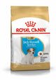 canino real