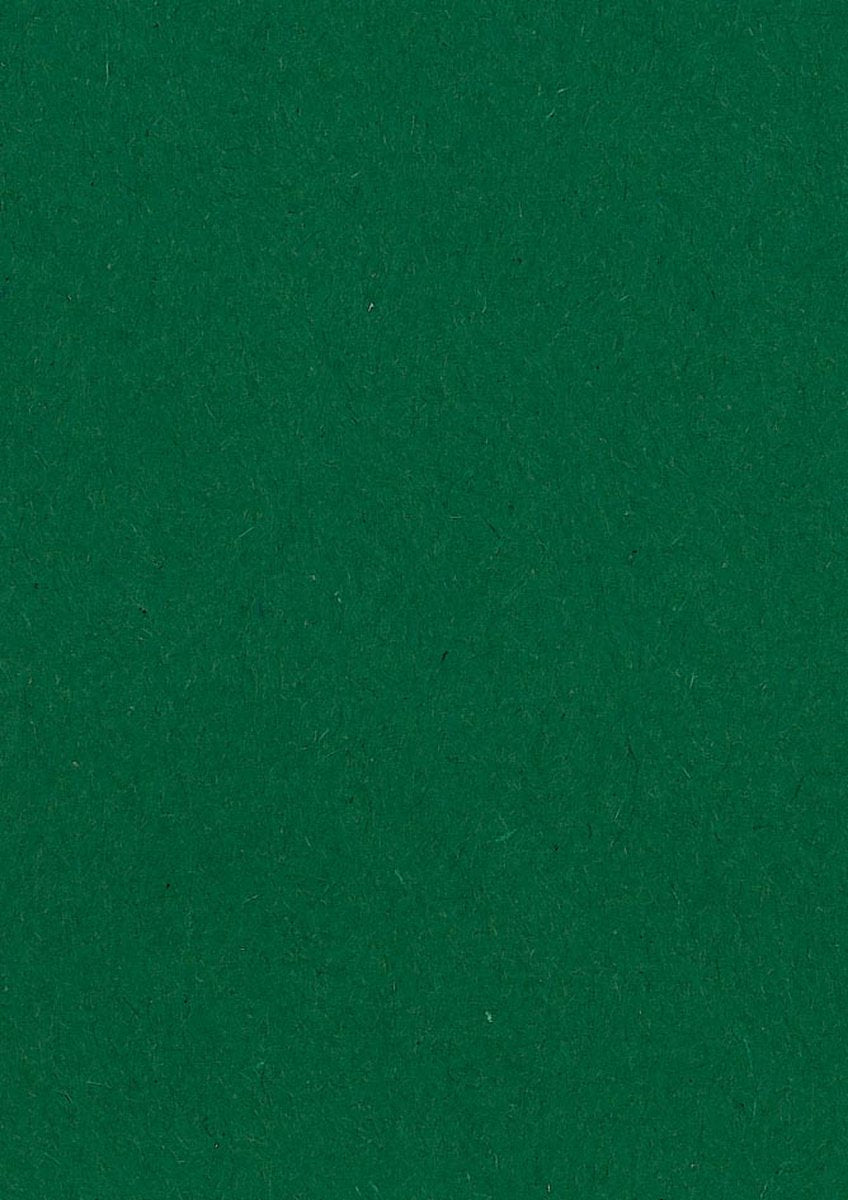 Carta da disegno colorata Gallery verde scuro