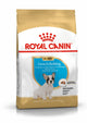 canino real
