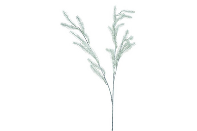 Art Branch Silvers FIR 105 cm