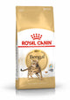 canino real