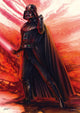 Rompecabezas Star Wars the Sith multicolor