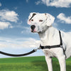 Petsafe easy walk anti-trek tuig zwart