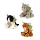 Pluche katten assorti 14 cm milieuvriend