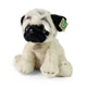 Carlino peluche 30 cm ecologico