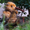 Pluche vogel kiwi 23 cm eco-vriendelijk