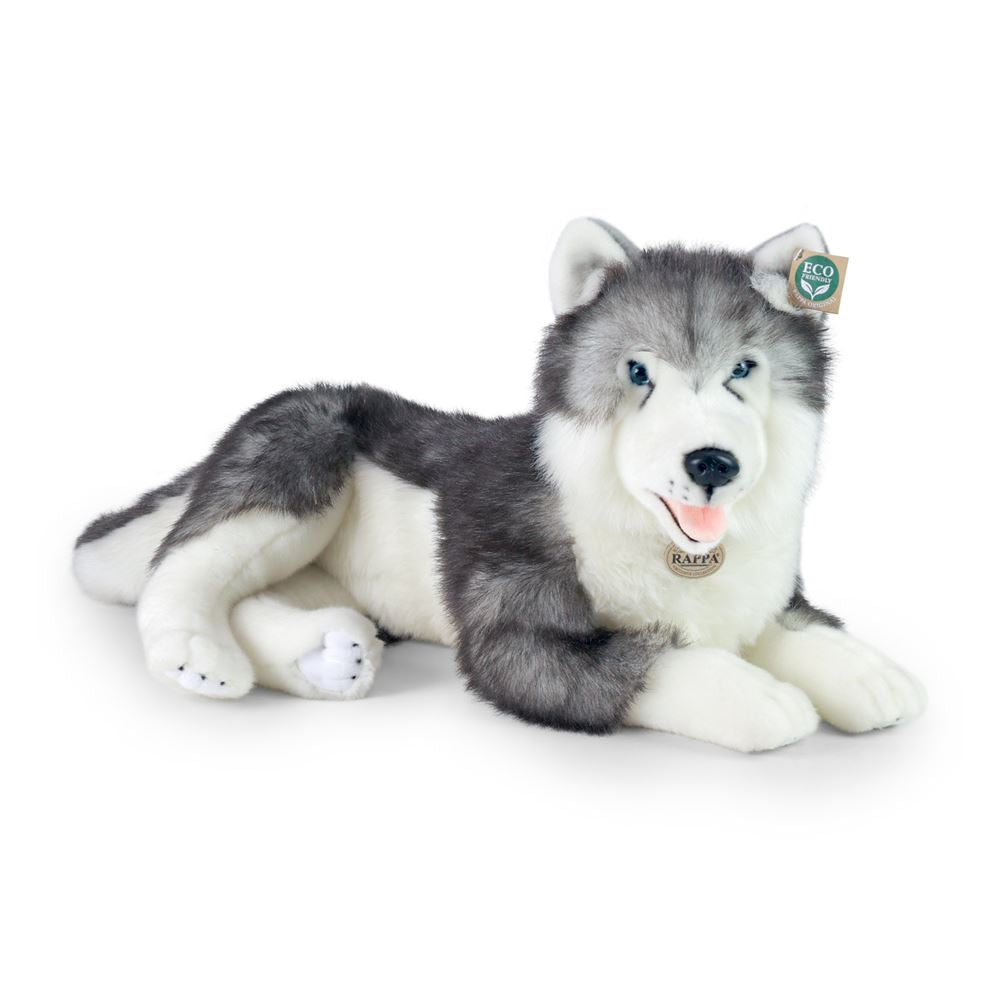 Peluche cane husky 60 cm ecologico