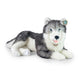 Peluche cane husky 60 cm ecologico
