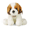 Peluche San Bernardo 26 cm ecologico