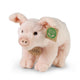 Cerdo casita de peluche 20 cm ecológico