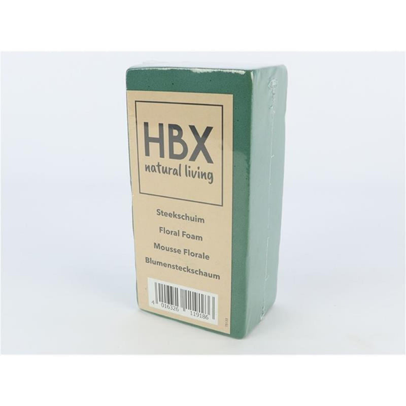 Blocco bagnato in schiuma floreale naturale vivente HBx 20x10x7,5 cm confezionato
