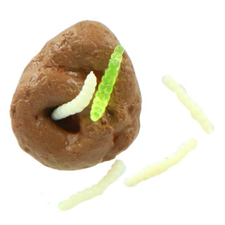 Incredibile fresco e fresco squishy con vermi