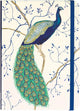 Cuaderno compacto Peter Pauper - pavo real - con cierre elástico - 13x18 cm