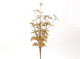 Hbx natural living ramo artificiale euca cinerea 40x25cm oro