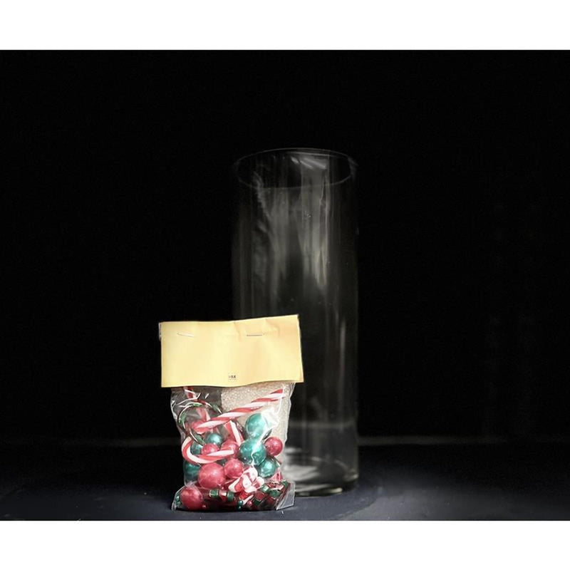 Vaso vivente naturale HBx con perline d'acqua decorative che rallegrano il Natale