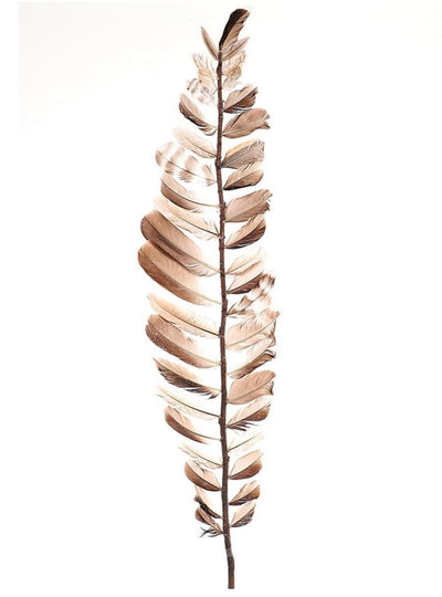 HBx piume di ramo deco naturali viventi 60 cm