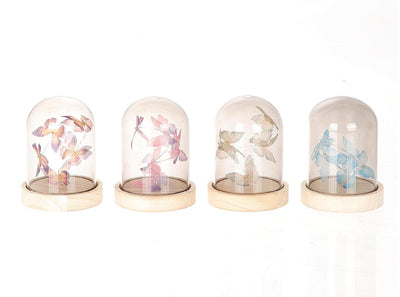 Hbx campana di vetro naturale vivente con farfalla con illuminazione 13,5 cm