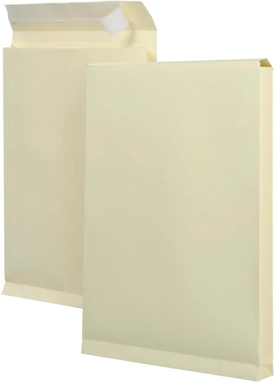 Buste per campioni ft 262 x 371 x 38 mm (125 pezzi)
