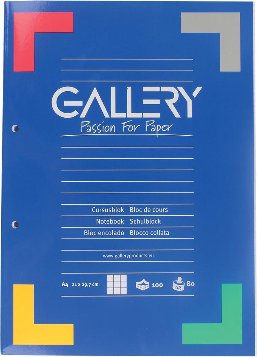 Gallery cursusblok, ft a4, 80 g m², 2-gaatsperforatie, geruit 5 mm, 100 vel