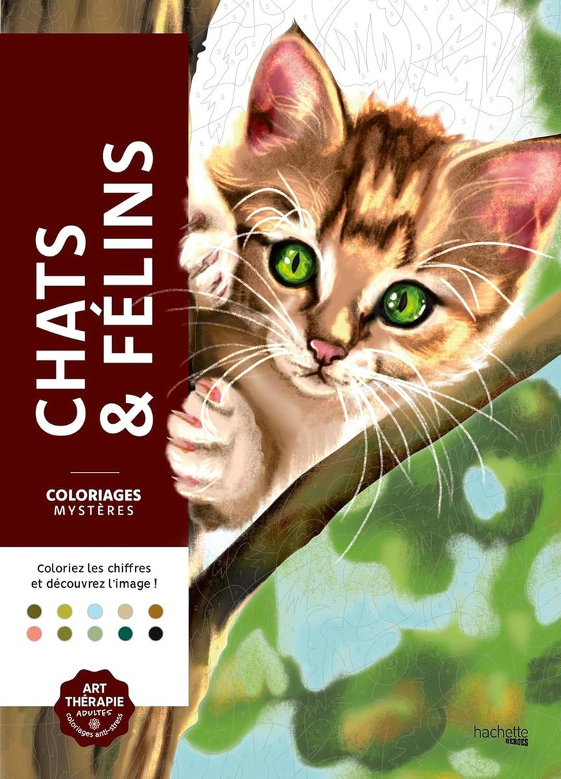Hachette Heroes coloriages mystères - chats félins - libro da colorare per adulti e bambini da colorare con i numeri