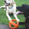 Happy pet grubber interactieve voetbal oranje
