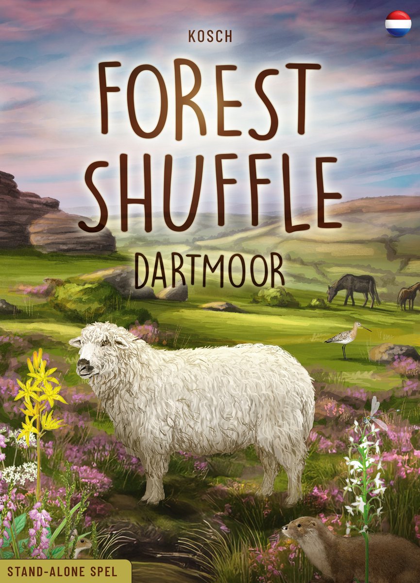 Gioco Lookout - gioco di carte - shuffle nella foresta - Dartmoor - da 2 a 5 giocatori - 10+