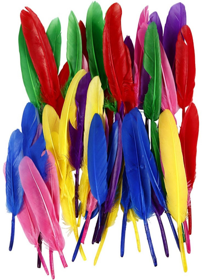 Plumas de la empresa Creativ, l: 13 cm, varios colores, 48 ​​piezas 1 caja