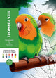 Hachette heroes coloriages mystères trompe-l'oeil - kleuren op nummer kleurboek -