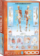 Eurographics - il corpo umano - 1000 pezzi 48×68 cm (l×a) - puzzle