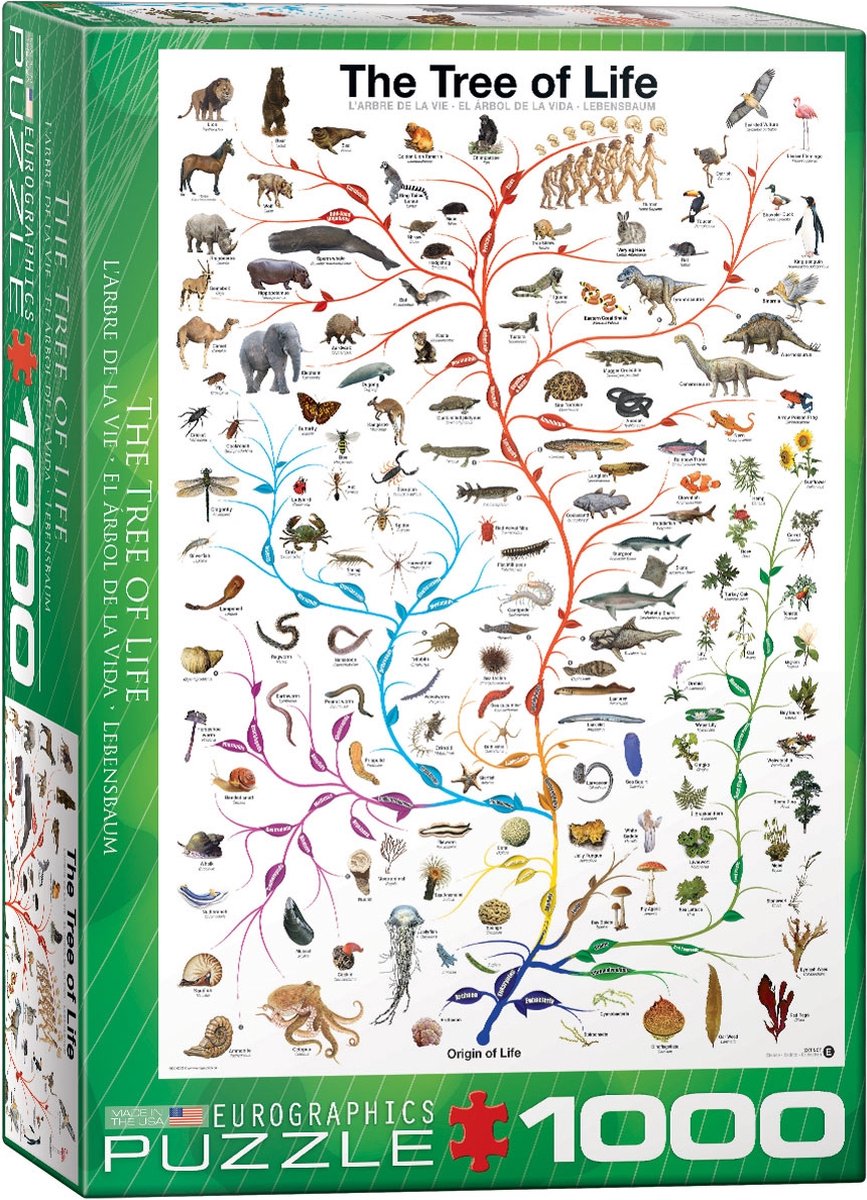 Eurographics - l'albero della vita - diagramma dell'evoluzione - 1000 pezzi 48×68 cm (l×a) - puzzle