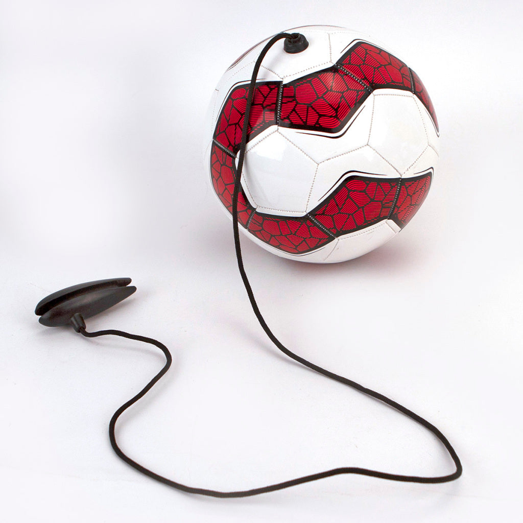 Alert Alert Training Ball con gamma di cavi regolabili