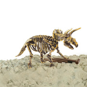 Dinobase dinobase 3d triceratops scheletro - afbeelding 2