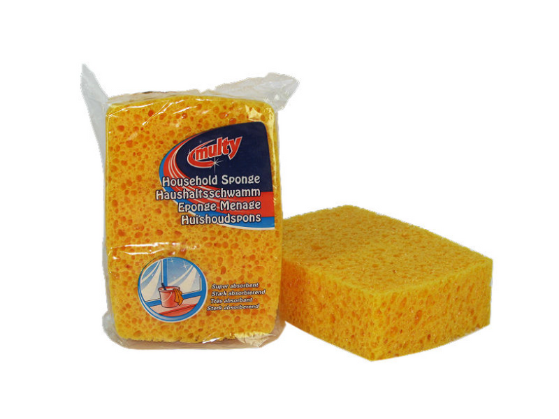 Multy household sponge