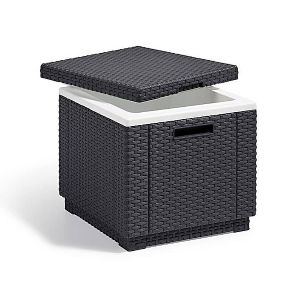 Keter Keter Cool Box Cube Ice Cube di grafite
