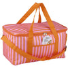 Bolsa nevera 19 litros